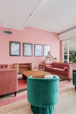A bright modern lounge with pink walls, velvet sofas, a wooden table, large windows, and potted plants, all in an open office.
