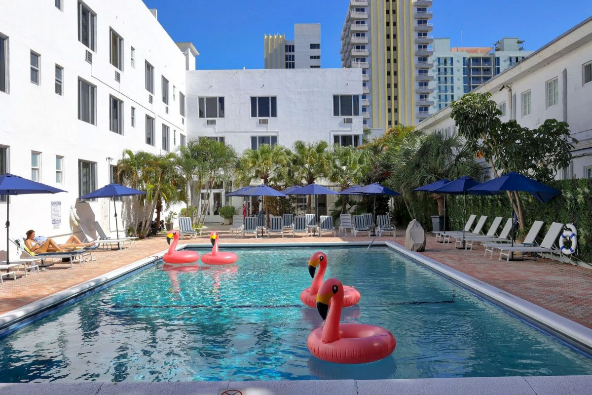 A swimming pool with flamingo floats, surrounded by lounge chairs and palm trees.