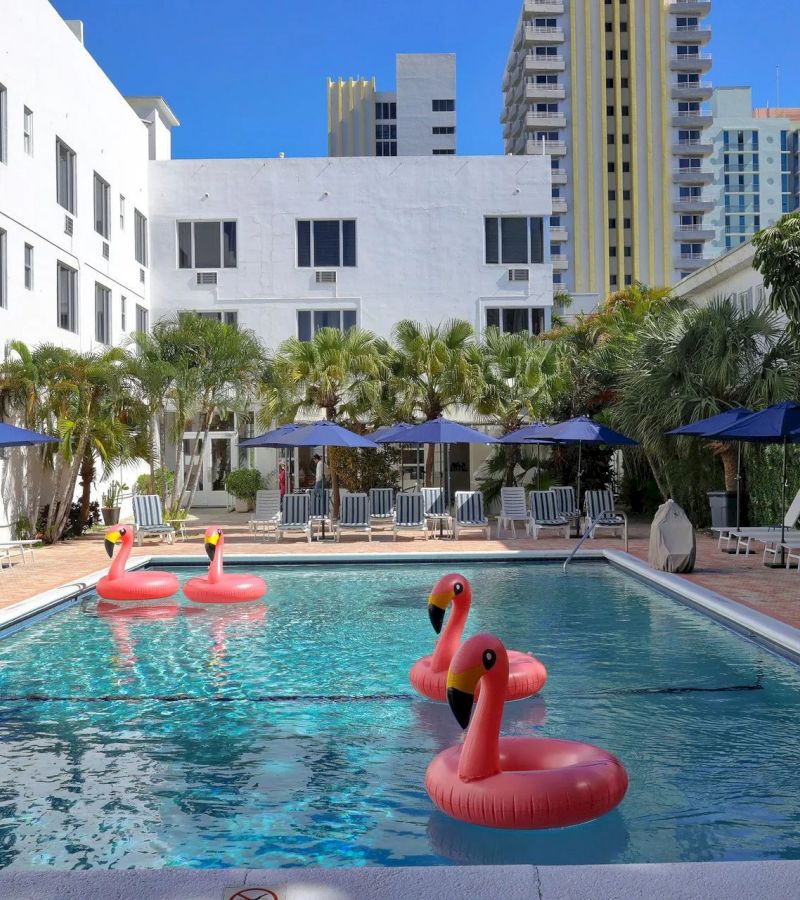 A swimming pool with inflatable flamingos and lounge chairs